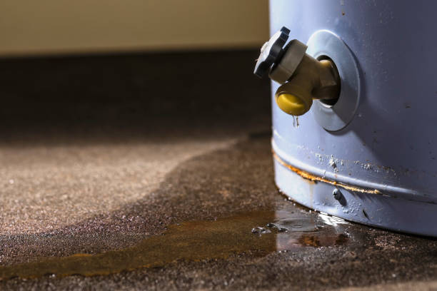 Best Water damage contractors near me  in Plandome, NY