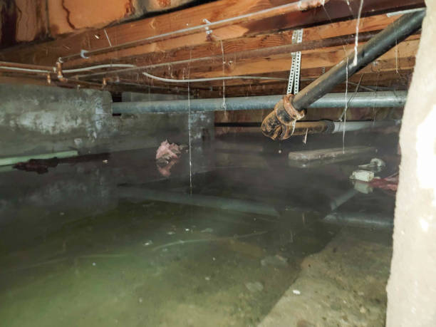 Best 24/7 water damage repair  in Plandome, NY