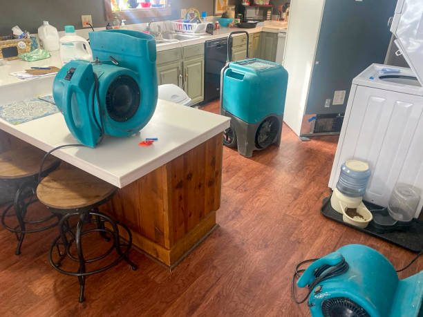 Best Mold removal after water damage  in Plandome, NY