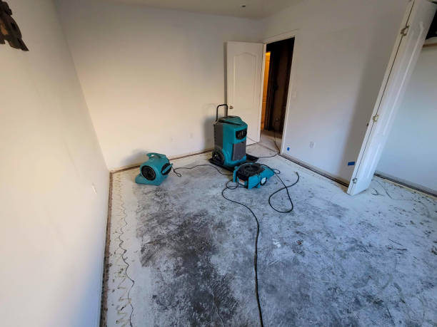  Plandome, NY Water damage restoration Pros