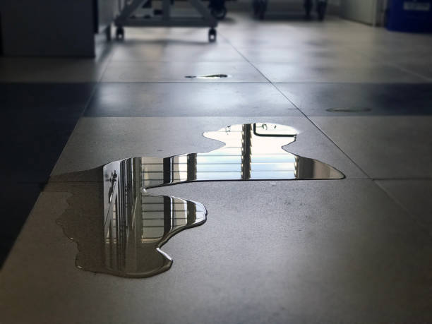 Best Commercial water damage restoration  in Plandome, NY