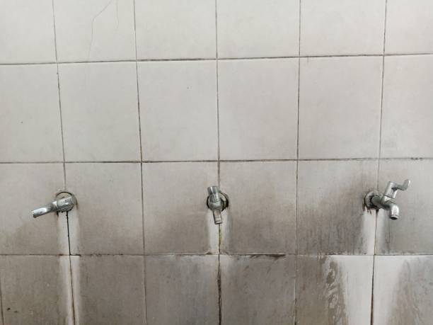 Best Water damage restoration cost  in Plandome, NY