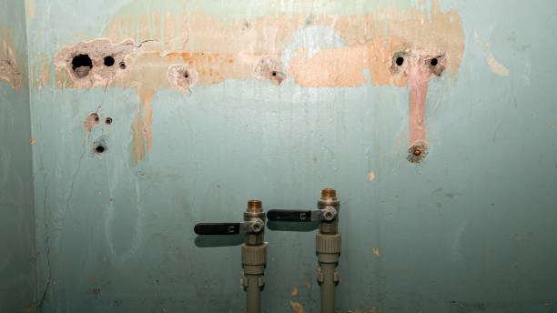 Best Water damage restoration insurance claims  in Plandome, NY