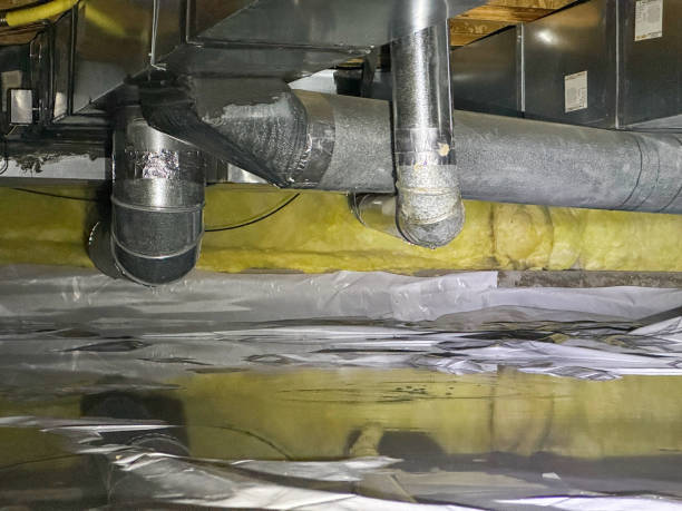 Best Water damage restoration process  in Plandome, NY