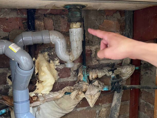Best Ceiling water damage repair  in Plandome, NY